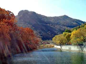 管家婆黑白马报图库，折扣村